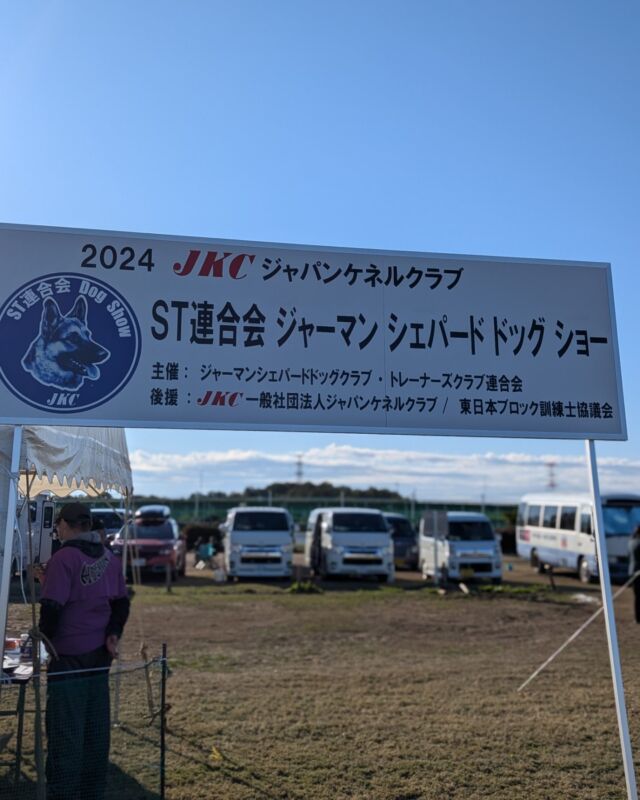 今日ST連合会展覧会でした🐕‍🦺🐾

快晴のもと☀TEAM SUYAMAからは8頭がエントリーしました。

結果はまずまずでした❗️❗️

パピークラスではシュトックハール(直毛)、ラングシュトックハール(長毛)でパピーBOB🥇をいただきました🏆🎊

インターミディエイト牝クラスではベティが1席でメジャーカードGET🥇✌️

オープン牝クラスではエルが2席🥈、アナベルが3席🥉と健闘しました😊

明日は同じ会場で外国人ジャッジを招いてアジアジャーマンシェパードドッグショーが行われます！

明日も精一杯頑張ります💪

是非、観戦にお出かけ下さい😊✨